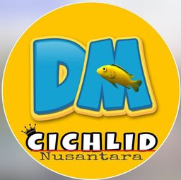 DM Cichlid