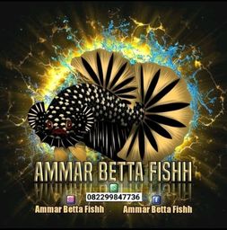 Ammar Betta Fishh
