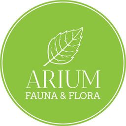 Arium