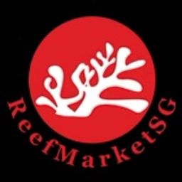 Reef Market Singapore